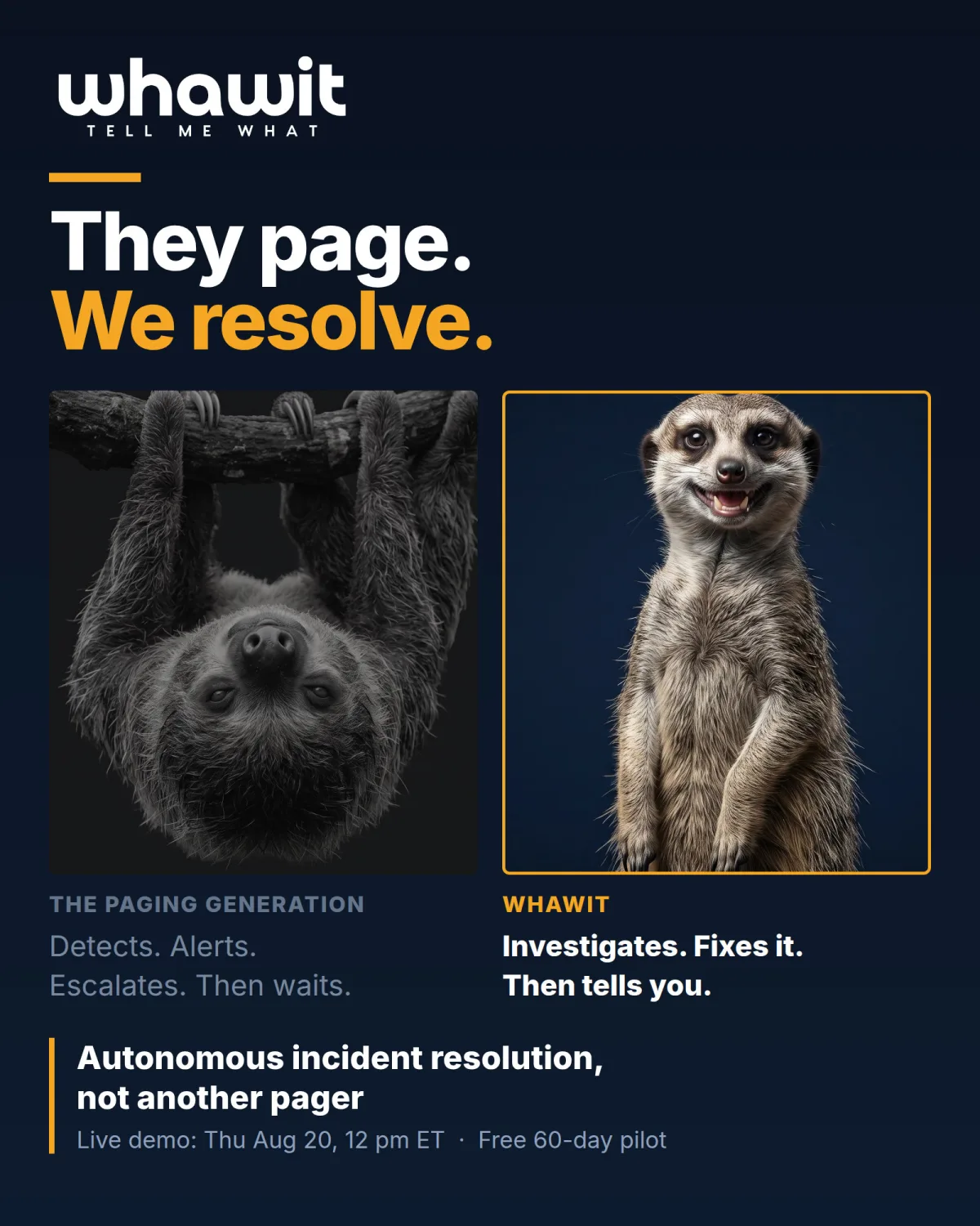 They page. We resolve. — WHAWIT live demo, August 2026